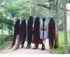 In a study on mice, the animals were split into four groups based on the topical solution applied: Long Hair Fast Growth Herbal Hair Oil Helps Your Hair To Lengthen Grow Longer Free Shipping Herbal Hair Oil Herbal Hair Growthgrowth Hair Aliexpress