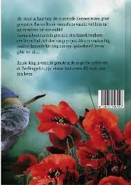 Bol Com Bernie King En De Magische Cirkels Daan Remmerts De Vries 9789045106496 Boeken