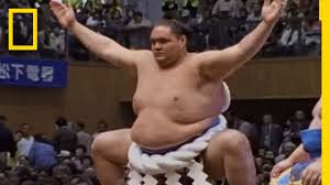Check spelling or type a new query. Sumo Wrestling 101 National Geographic Youtube