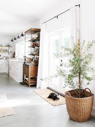 Plant Of The Year Indoor Olive Tree Thou Swell Home Interior Interior Design