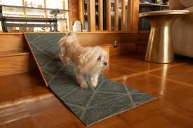 You can train your dog on how to use the dog steps for swimming pool in minutes so she. Diy Project How To Build A Dog Ramp For 30