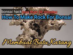 Cara Mudah Membuat Batu Karang Buatan Untuk Bonsai How To Make Rock For Bonsai Youtube Bonsai The Rock Karang
