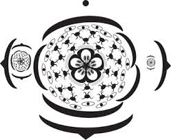 Image result for Lophiocarpaceae