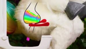 Check spelling or type a new query. Unicorn Gold A Bathroom Spray By Squatty Potty That Uses Gold Particles To Eliminate Poo Stink