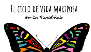 Maybe you would like to learn more about one of these? El Ciclo De La Mariposa Worksheets Teaching Resources Tpt