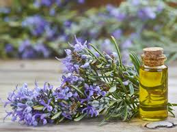 Using a small funnel, transfer the castor oil, almond oil and olive oil into the amber dropper bottle. Grow Your Hair Fast Naturally With Rosemary Oil Dose Of Selina