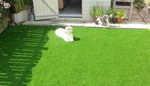 When it comes to pet products there is no better or safer solution than synlawn artificial grass. Pet Owners Ask Is Artificial Grass Pet Friendly Grass Direct Blog