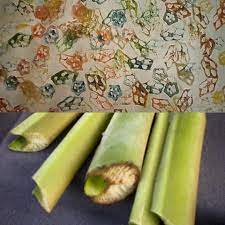 Maybe you would like to learn more about one of these? Hot Fm Ingat Lagi Kelas Lukisan Main Cop Cop Pakai Batang Pisang Ada Yg Guna Kentang Dgn Sayur Lain Gak Kan Balingbelakang Sumber Foto Google Facebook