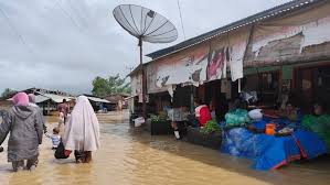 Sketsa gambar mewarnai bencana banjir sketsa gambar hewan merupakan gambaran kasar dari gambar hewan yang biasanya berupa garis yang belum selesai atau belum diberi warna. Banjir Di Aceh Timur Rendam 6 701 Rumah Ribuan Warga Mengungsi Bagian 1