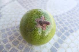 Osage orange is hardy in. Can Anyone Help Identifying This Fruit Tree