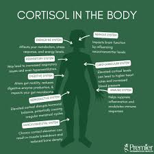 Image result for Higher Integrative Function