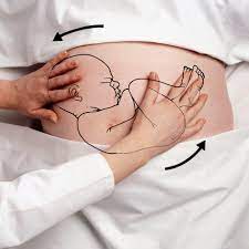 Transverse Baby Position In Pregnancy