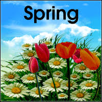 In the northern hemisphere, spring begins in late march and ends in late june with the arrival of summer. Seasons For Kids Season Learning Activities For Preschool And Kindergarten Children