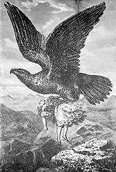 Check spelling or type a new query. Eagle Flight And Other Myths Alaska Department Of Fish And Game