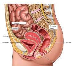 Tumor Der Gebarmutter Symptome Schwanger Ausserhalb Operation