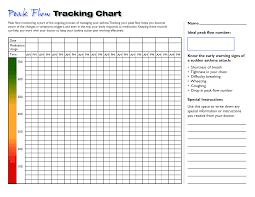 With the advent of computer generated. Kostenloses Blank Peak Flow Chart Printable