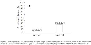 Image result for Centrolobium robustum