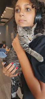 Is anyone interested in adopting a 5-6 week old kitten in Denver NC?