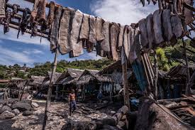 22nd, it has 637k views. The World S Last Whale Hunters The Diplomat