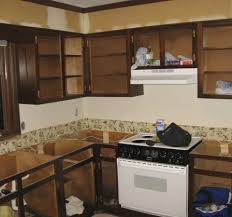 4.3 out of 5 stars 65. Refinishing Oak Kitchen Cabinets Andre Trigano Com