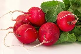 Maybe you would like to learn more about one of these? Growing Radish Planitng Care Growth Stages Gardening Tips