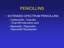 Image result for Extended Spectrum Penicillin