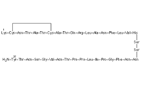 Image result for Pramlintide