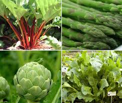 Extremely useful if you can digest it well but quite. 8 Perennials Vegetable You Can Plant Once And Savor Forever Perennials Vegetables