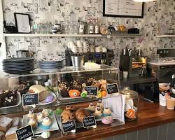 Coffee Tree的圖片