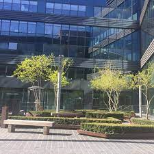 165, avenue de paris 92320 châtillon. Carrefour Siege Social 102 Avenue De Paris