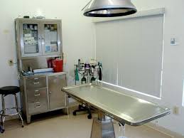 Surgery Southeast Animal Clinic Pet Clinic Veterinary Hospital Clinic