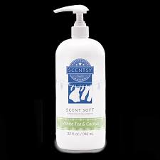 Sweet desert wildflower that is a great alternative to your standard floral fragrances with its hints of herbs, spices and cool greens. White Tea Cactus Scent Soft Fabric Softener Scentsy Online Store