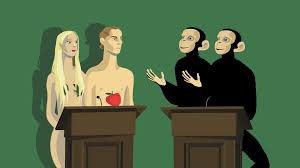 15 Answers to Creationist Nonsense | Scientific American