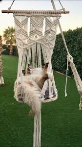 Hamac Balancoire Boheme Pour Chat Ou Chien Interieur Ou Exterieur 145 X 40 Cm Fait Main En Macrame 100 Coton Piece Unique Createur Hamac Balancoire Hamac Chaises Macrame