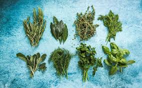 Herbs 101 An A Z List Of Herbs For A Healthier You Alive