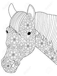 Want to see what the inside of my horse coloring and activity books look like? Head Horse Coloring Book For Adults Vector Illustration Anti Stress Royalty Free Cliparts Vectors And Stock Illustration Image 58431162