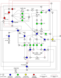Organizational magazines, journals, meetings and various other forms of oral and written communication help in molding employee's attitudes. Model Of The Adaptive Immune Response System Against Hcv Infection Reveals Potential Immunomodulatory Agents For Combination Therapy Scientific Reports