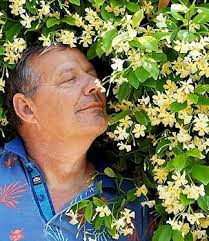 BALDUR Garten Winter-hardy Jasmine 'Star of Toscane' fragrant, 1 plant,  Trachelospermum jasminoides, easy care, flowering, Trachelospermum  jasminoides : Amazon.de: Garden