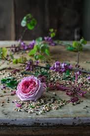 Largest selection of edible flowers on the market. Antioxidant Activity And Bioaccessibility Of Phenolic Compounds In White Red Blue Purple Yellow And Orange Edible Flowers Through A Simulated Intestinal Barrier The Sourdough School