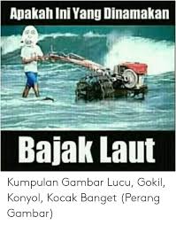  Apakah Ini Yang Dinamakan Bajak Laut Kumpulan Gambar Lucu Gokil Gambar Lucu Lucu Foto Lucu