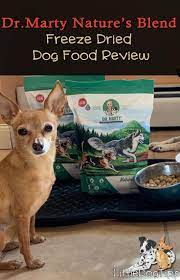 Dr Marty Nature S Blend Freeze Dried Food Review Little Dog Tips Freeze Dried Dog Food Dog Food Reviews Dog Food Recipes