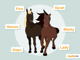 beliebte pferdenamen den passenden namen finden markt de pferdenamen pferd pferde