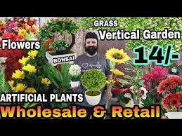 Jun 17, 2019 · cbd oil extract should be extracted from the leaves, stalks, and flowers of hemp. Cheapest Home Decor Items Wholesale Retail Artificial Flowers Grass Mat Pots Vertical Garden News ÙÙ† Ø§Ù„Ø³ÙØ± Ø§Ù„ØªØµÙ…ÙŠÙ… ØªÙ‚Ù†ÙŠØ©