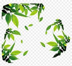 Download free png images transparent backgrounds. Leaf Download Icon Tea Leaves Png Free Transparent Png Clipart Images Download
