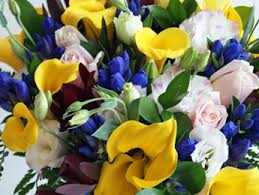 Experience the best flower delivery in indore with floweraura. Cuddly N Blue Flower Bouquet New Baby Flowers Flower Delivery Flower Bouquets By Auckland Florists