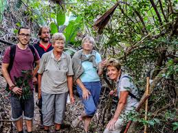 Image result for Erythroxylum emarginatum