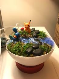 25 00 Pokemon Come To Life Become A Pokemon Master And Catch Em All Pokemon Pokemonterrarium Pokemonmaster Go Pokemon Terrarium Pokemon Master Pokemon