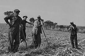 Image result for England farms in 1940