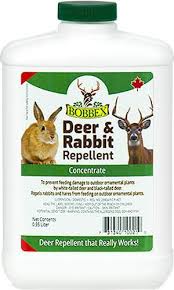 Amazon.Com : Concentrated Animal Repellent - Bobbex | Rabbit, Squirrel, And  Chipmunk Repeller Concentrate (64 Oz.) B550130 : Rodent Repellents : Patio,  Lawn & Garden