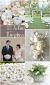 Fall White Pumpkin Decor
